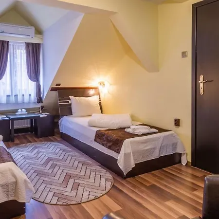 Guest house Pensiunea 3*