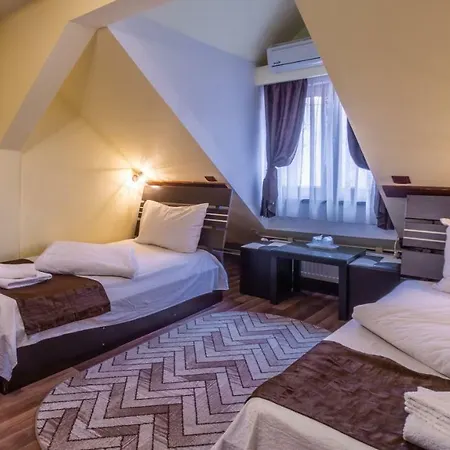 Pensiunea Guest house 3*