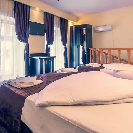 Pensiunea Guest house