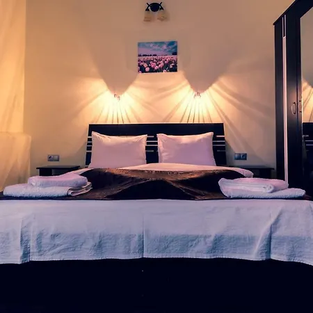 Pensiunea Guest house