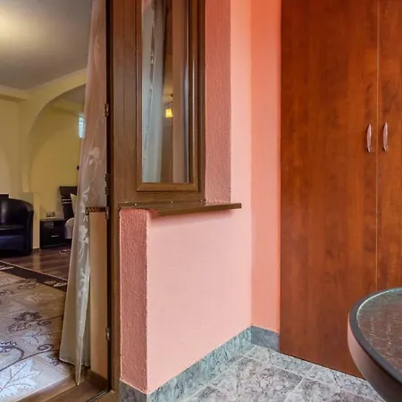 Guest house Pensiunea 3*